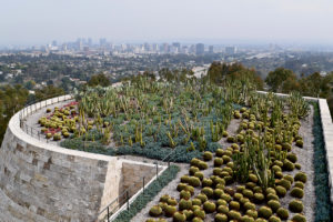 cactus garden at The Getty Center in Los Angeles, California