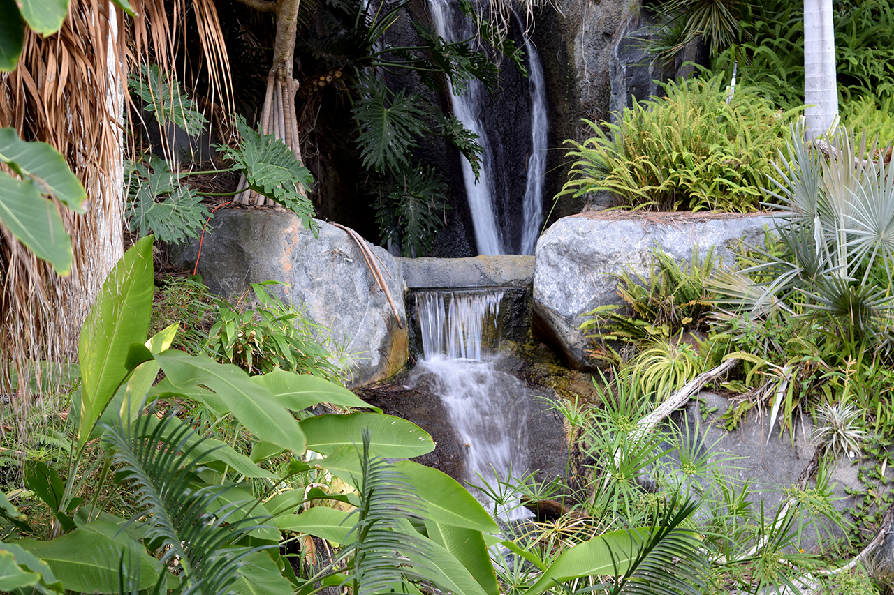 San Diego Botanic Garden Review - Grading Gardens