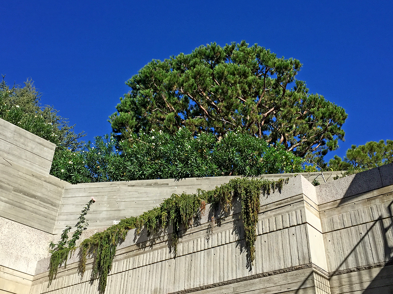 The Getty Villa Review Grading Gardens