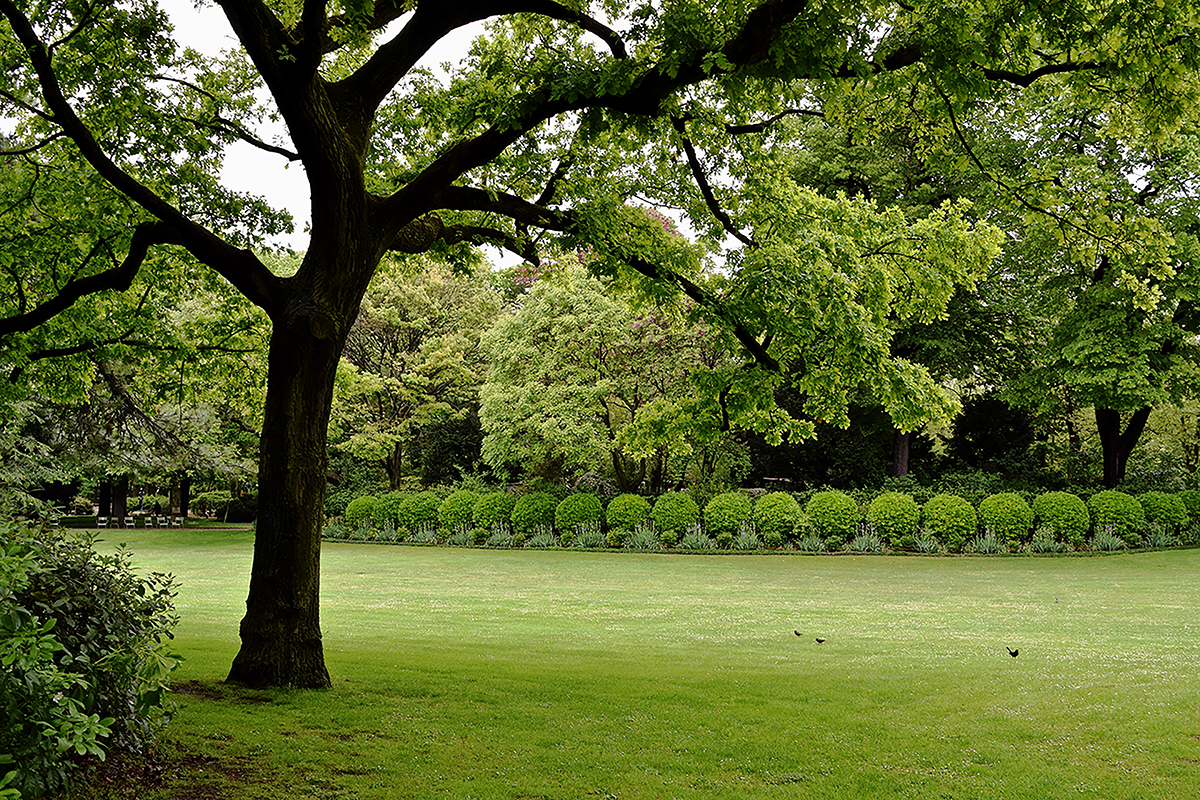 Jardin du Luxembourg Review - Grading Gardens