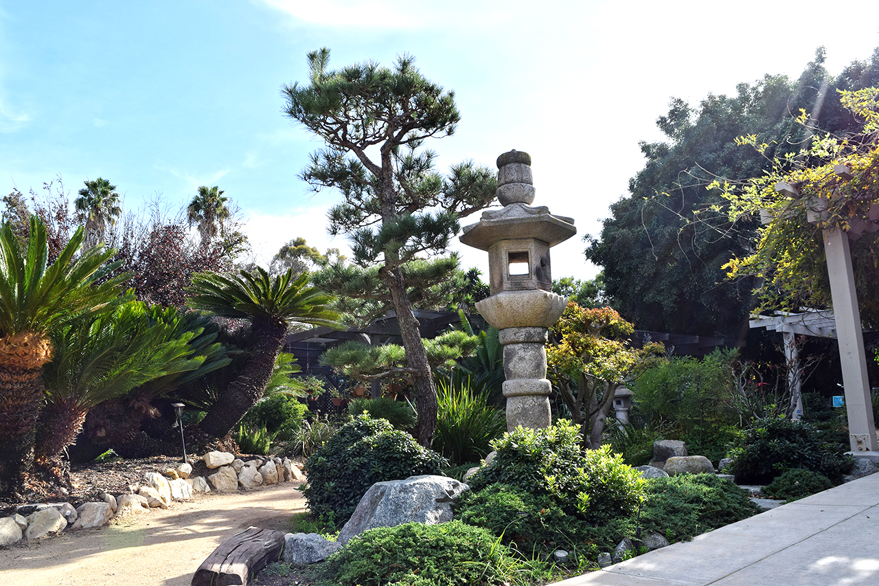 South Coast Botanic Garden Review Grading Gardens   DSC 0198 