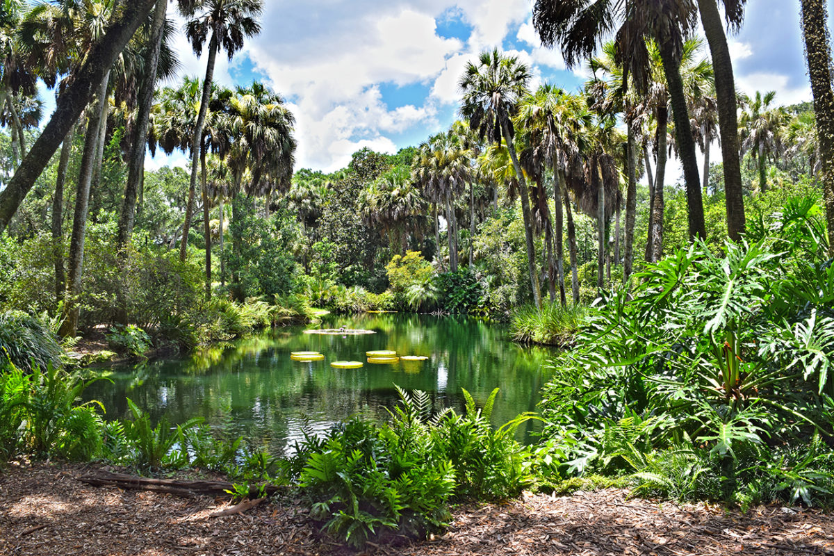 Bok Tower Gardens Review - Grading Gardens