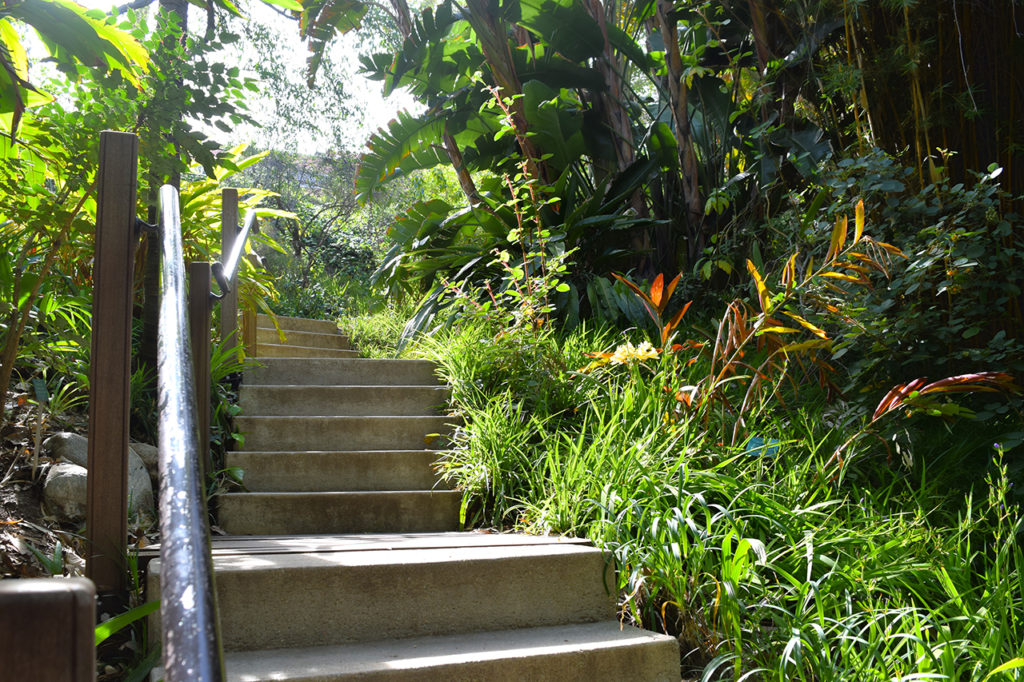 Mildred E. Mathias Botanical Garden Review - Grading Gardens