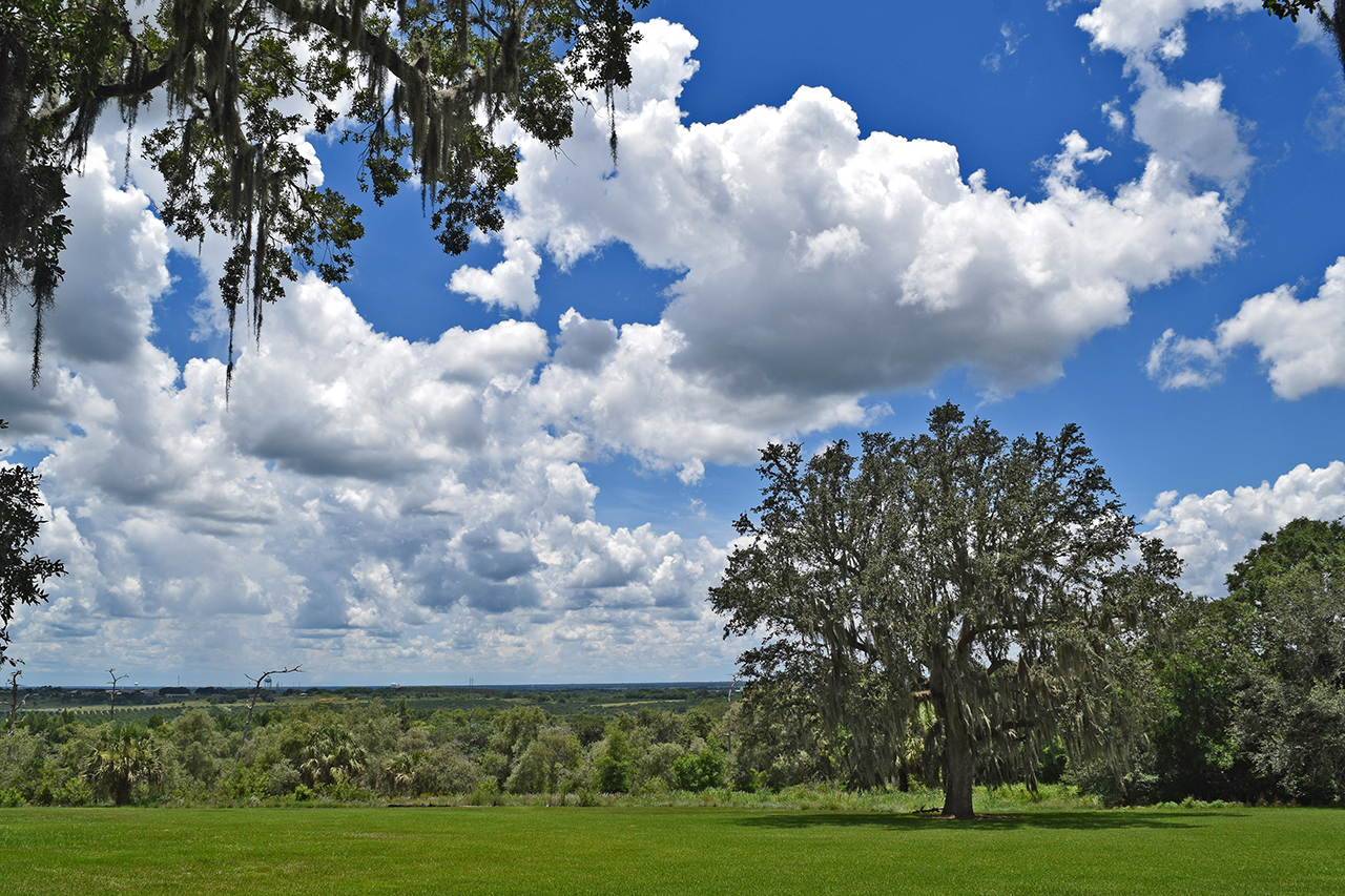 Bok Tower Gardens Review - Grading Gardens