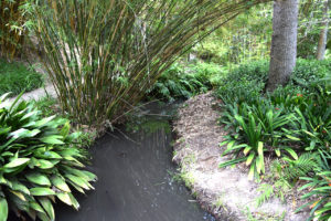 stream at the Mildred E. Mathias Botanical Garden in Los Angeles, California